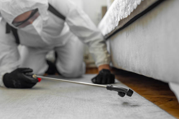 Professional Bed Bug Control technician working in Boulder County County, CO